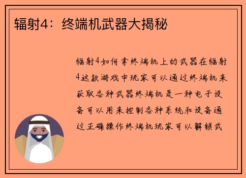 辐射4：终端机武器大揭秘