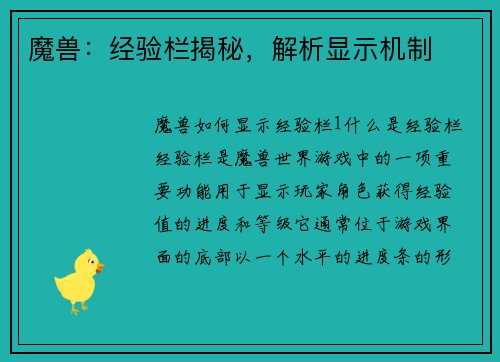 魔兽：经验栏揭秘，解析显示机制
